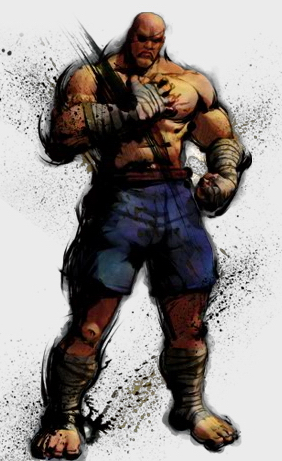 《街头霸王4》角色攻略-沙加特