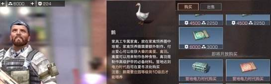 明日之后鹅获取途径详解