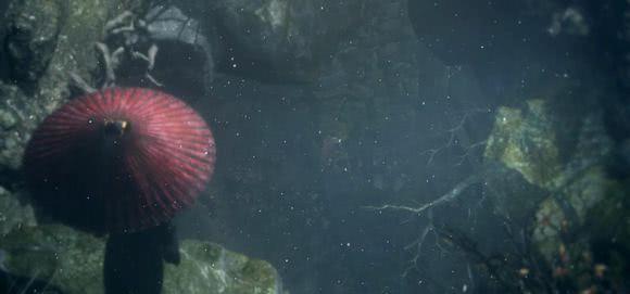 只狼：影逝二度主角狼与佛师人物关系分析