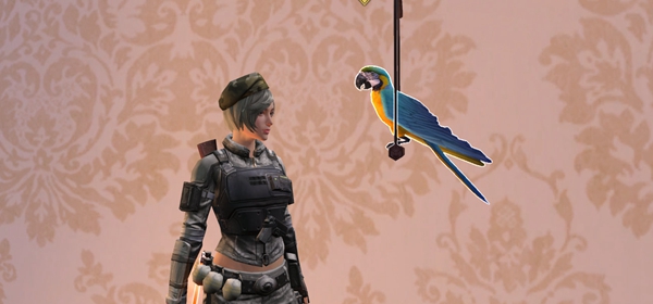 明日之后怎么给营友东西_明日之后给营友东西方法介绍