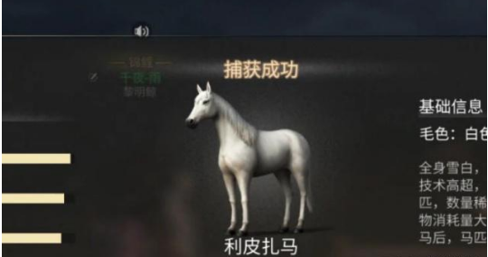 明日之后利皮扎马位置一览