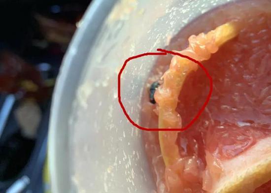 喜茶喝出绿头苍蝇背后不得不说的事儿