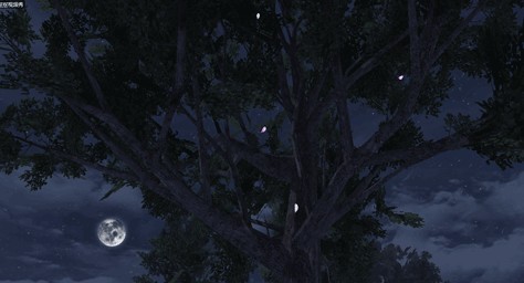 明日之后花瓣树位置图文详解