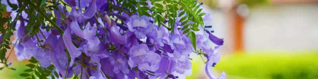 抖音上火热的游戏大全