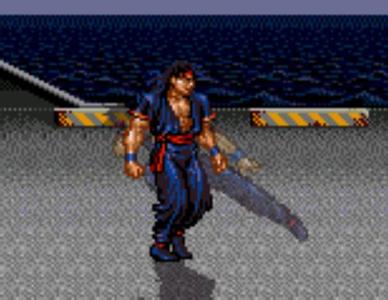 怒之铁拳巴登忍者2代希瓦手机版