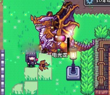 伊洛纳海豹打法攻略