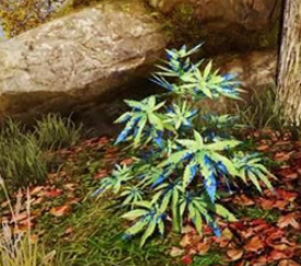 明日之后莱文感染体玩法图文详解