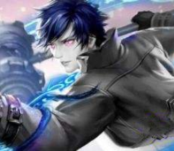 斗罗大陆国家队阵容选择推荐