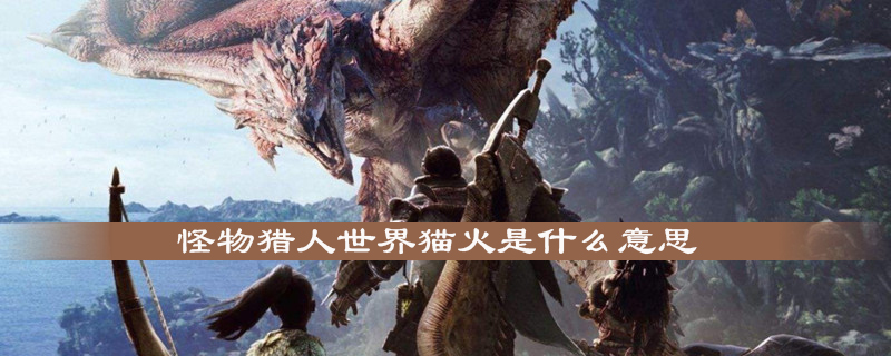 怪物猎人世界猫火是什么意思