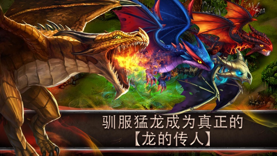 驯龙传说 驯龙传说