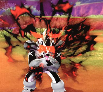 宝可梦剑盾堵拦熊实战配招及详细介绍