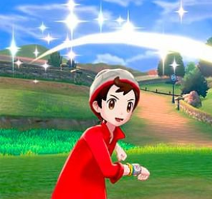 宝可梦剑盾柑果球是什么