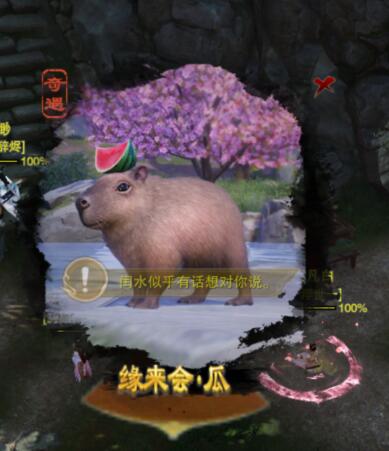 剑网三缘来会瓜宠物奇遇通关攻略介绍