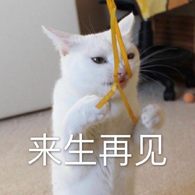 20191229060042928.jpg