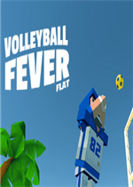 Volleyball Fever Flat未加密直装版