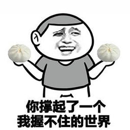 淋巴肉包什么梗