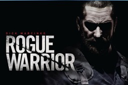 侠盗勇士中文汉化版