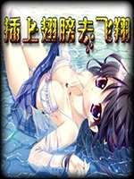 插上翅膀去飞翔官方版