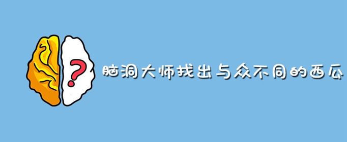 脑洞大师找出与众不同的西瓜