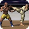 空手道拳击冠军ios最新版