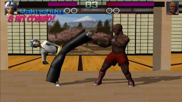 空手道拳击冠军ios最新版