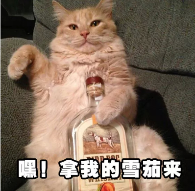 抖音猫猫喝酒表情包