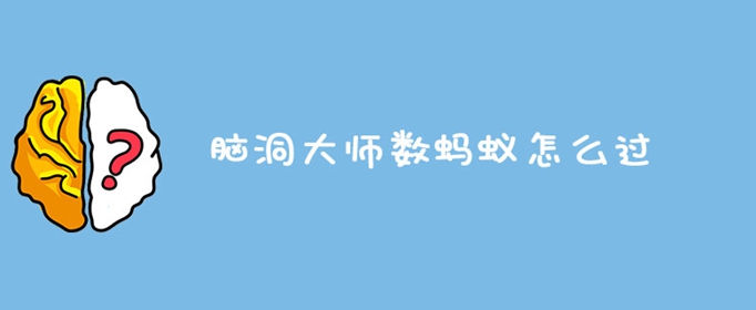 脑洞大师数蚂蚁怎么过