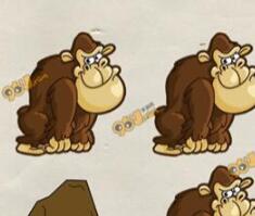 脑力达人全民烧脑游戏关卡10猩猩的辨别方法