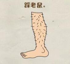 脑力达人全民烧脑游戏关卡12踩老鼠的方法