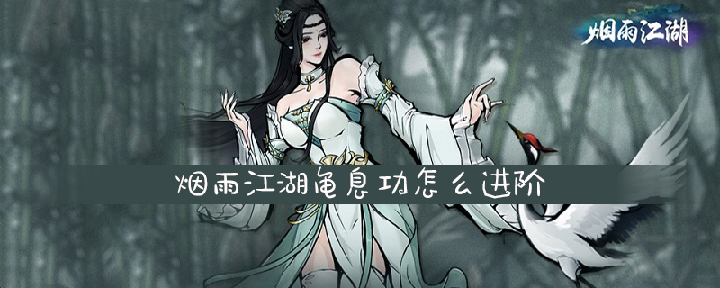 烟雨江湖龟息功怎么进阶