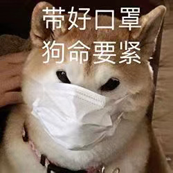 抖音猫猫带口罩表情包