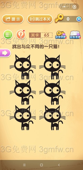 最强大脑闯关第65关【找出与众不同的一只猫】答案攻略