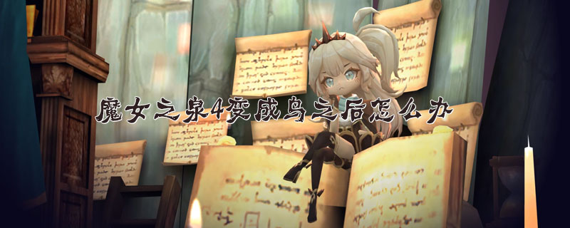 魔女之泉4变成鸟之后恢复方法介绍