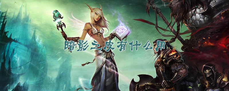 暗影之皮有什么用