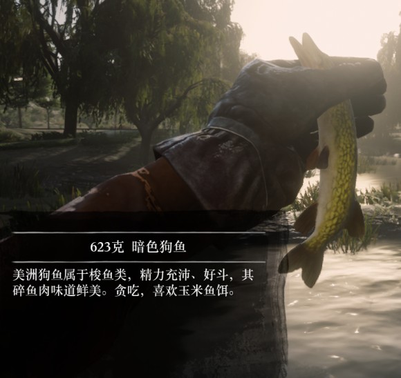 荒野大镖客2《reddeadredemption2》钓鱼地点攻略