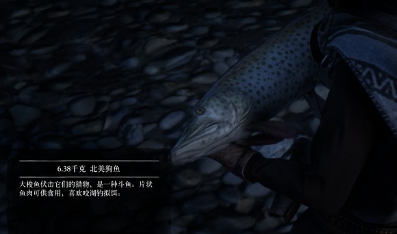 荒野大镖客2《reddeadredemption2》钓鱼地点攻略