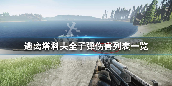 逃离塔科夫全子弹伤害列表一览大全