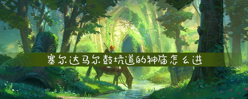 塞尔达马尔鼓坑道的神庙进入方法介绍