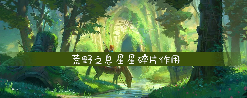 荒野之息星星碎片作用完整版介绍