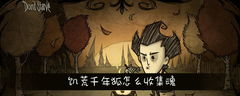 饥荒千年狐收集魂方法完整介绍
