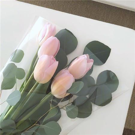 唯美青春发朋友圈的精美句子大全