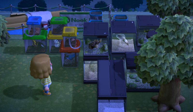 集合啦动物森友会前期物品收纳方法