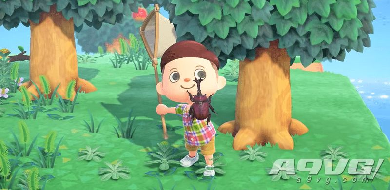 《集合啦！动物森友会》捕虫地点季节时间位置数据攻略表