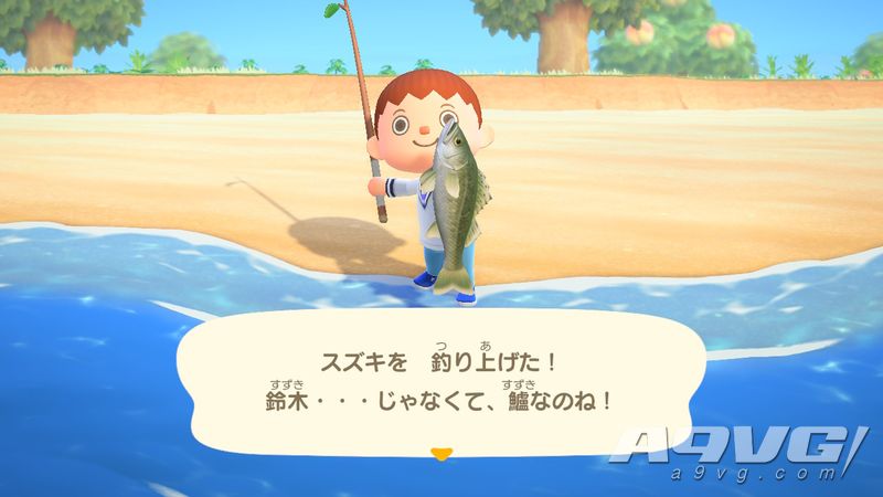 集合啦动物森友会钓鱼地点季节时间攻略数据表