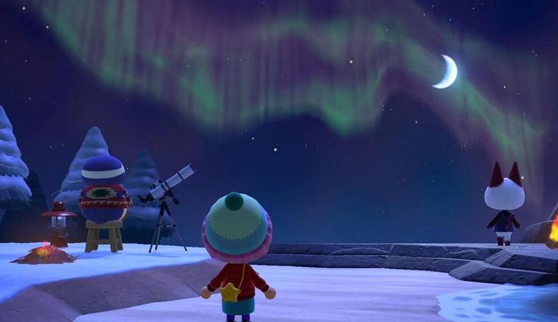 集合啦动物森友会全部贷款还款金额一览