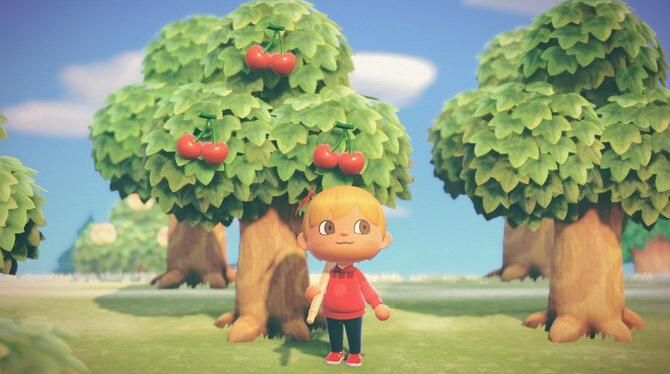 《集合啦！动物森友会》植树造林指南 动森合理种树方法