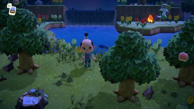 集合啦动物森友会素材岛种类大全