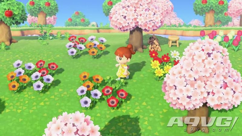 集合啦动物森友会花卉杂交方法完整版介绍