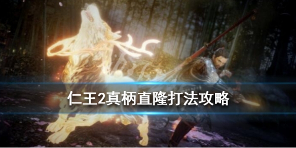 仁王2真柄直隆打法攻略