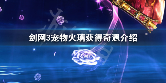 剑网3宠物火璃获取途径详细介绍